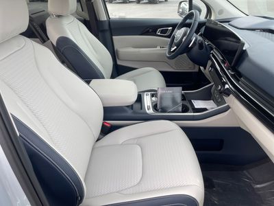 2026 Kia Carnival Hybrid — photo 15 view
