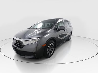 2024 Honda Odyssey - Photo 3