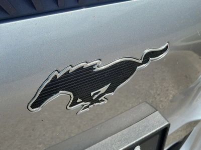 2021 Ford Mustang Mach-E — detail view