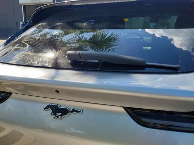 2021 Ford Mustang Mach-E — photo 19 view