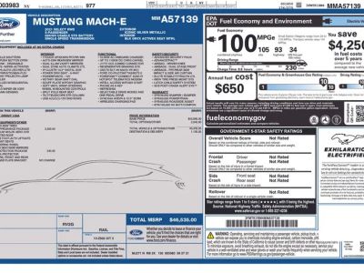 2021 Ford Mustang Mach-E — photo 24 view