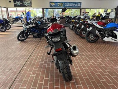 2025 Suzuki V-STROM 800 - Photo 6