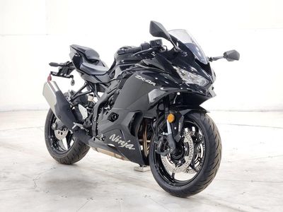 2025 Kawasaki NINJA ZX-4R ABS - Photo 1