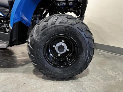 2025 Polaris Sportsman 110 - Photo 12
