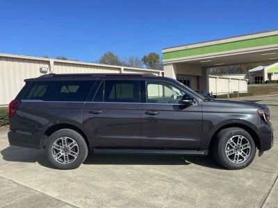 2025 Ford Expedition - Photo 2