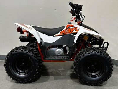 2025 Kayo Fox / Storm 70 - Photo 8