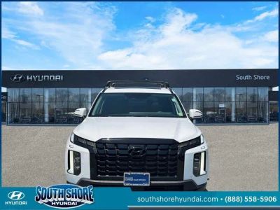 2025 Hyundai PALISADE — side profile view