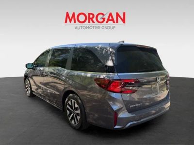2026 Honda Odyssey — interior view