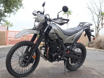 2026 Kawasaki KLX230 DF ABS - Photo 1