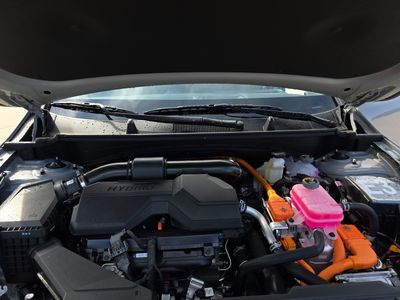 2026 Kia Sportage Hybrid — photo 8 view