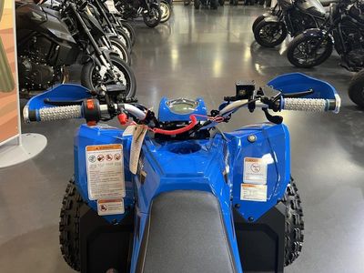 2026 Denago Powersports Trailhawk 10 FI - Photo 6