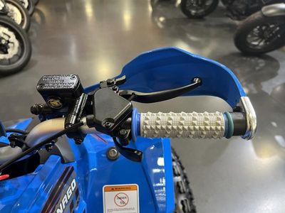 2026 Denago Powersports Trailhawk 10 FI - Photo 10