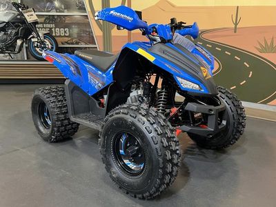 2026 Denago Powersports Trailhawk 10 FI - Photo 2