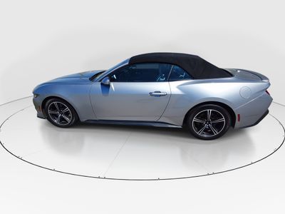2024 Ford Mustang - Photo 4