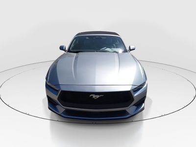 2024 Ford Mustang - Photo 2