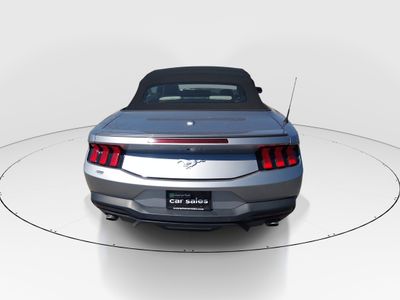 2024 Ford Mustang - Photo 6