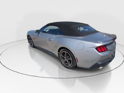 2024 Ford Mustang - Photo 5