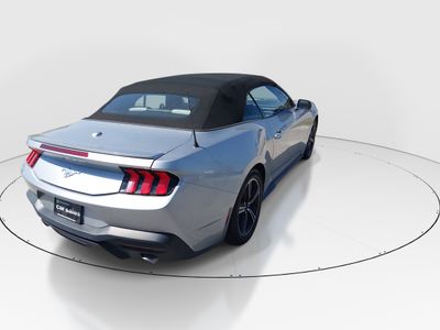 2024 Ford Mustang - Photo 7