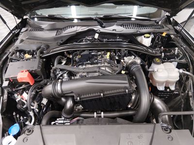 2025 Ford Mustang - Photo 9