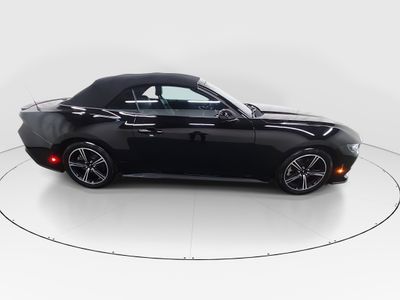 2025 Ford Mustang - Photo 8