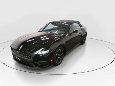 2025 Ford Mustang - Photo 3