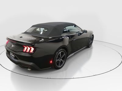 2025 Ford Mustang - Photo 7