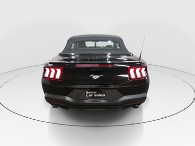 2025 Ford Mustang - Photo 6