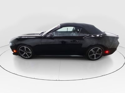 2025 Ford Mustang - Photo 4