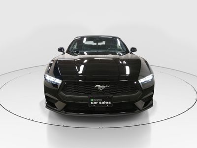2025 Ford Mustang - Photo 2