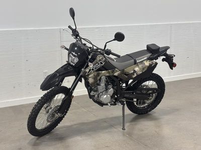 2026 Kawasaki KLX300 Cypher Camo Beige - Photo 2