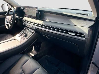 2025 Hyundai Palisade — photo 30 view