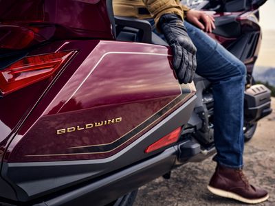 2025 Honda Gold Wing Tour 50th Anniversary - Photo 9