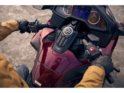 2025 Honda Gold Wing Tour 50th Anniversary - Photo 11