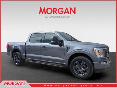 2023 Ford F-150 XLT in Gray — front three-quarter view