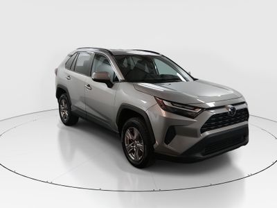2024 Toyota RAV4 - Photo 1