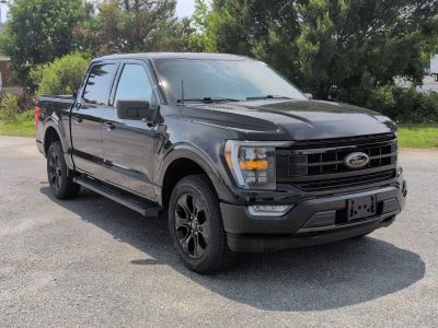 2023 Ford F-150 — side profile view