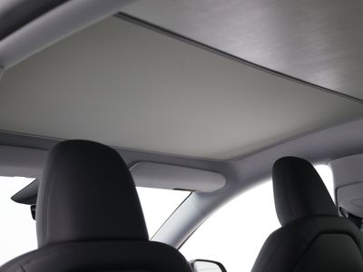 2026 Tesla Model Y - Photo 6