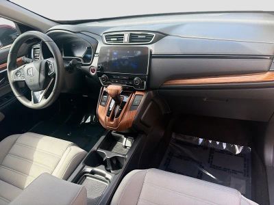 2019 Honda CR-V — photo 34 view