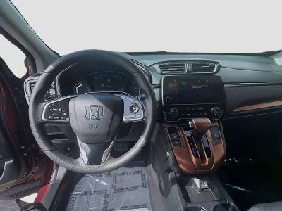 2019 Honda CR-V — photo 10 view