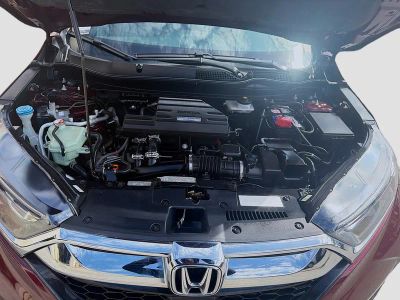 2019 Honda CR-V — photo 37 view