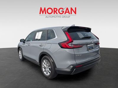 2026 Honda CR-V — detail view