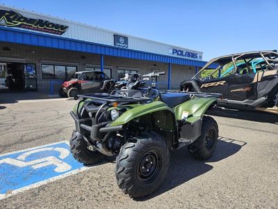 2025 Yamaha Kodiak 700 - Photo 3