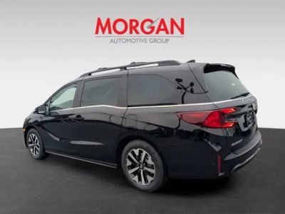 2026 Honda Odyssey — detail view