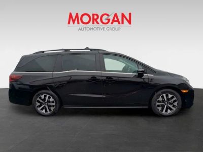 2026 Honda Odyssey — side profile view