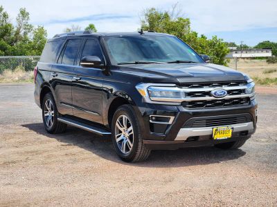 2023 Ford Expedition — detail view