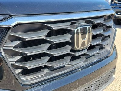 2023 Honda Pilot - Photo 7
