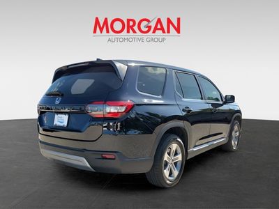 2023 Honda Pilot - Photo 6