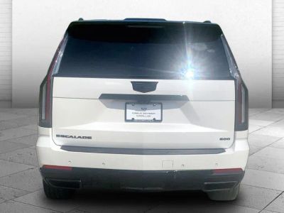 2025 Cadillac Escalade — rear three-quarter view