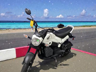 2025 Honda Navi - Photo 2