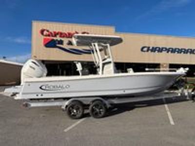 2026 Robalo 246 Cayman - Photo 1